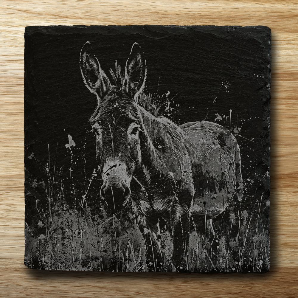 Donkey
