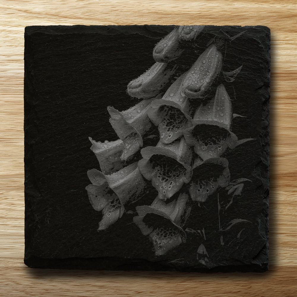 Foxglove