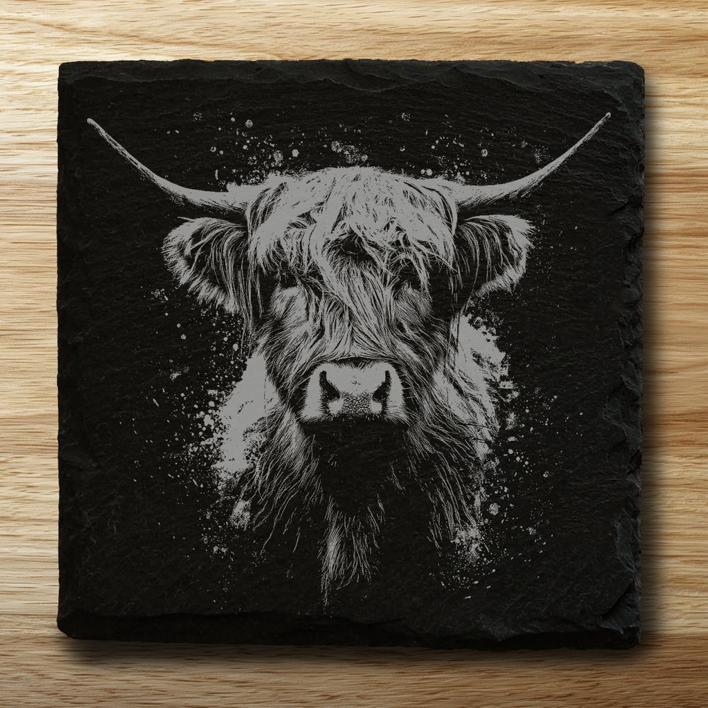 Highland Cow